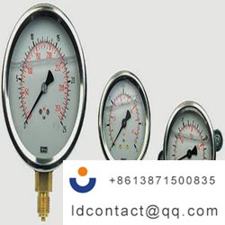 7656098_WIKA Stainless Steel Pointe